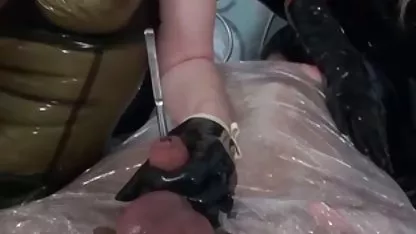 رابطه جنسی داستانهای جذاب سکسی در جنگل